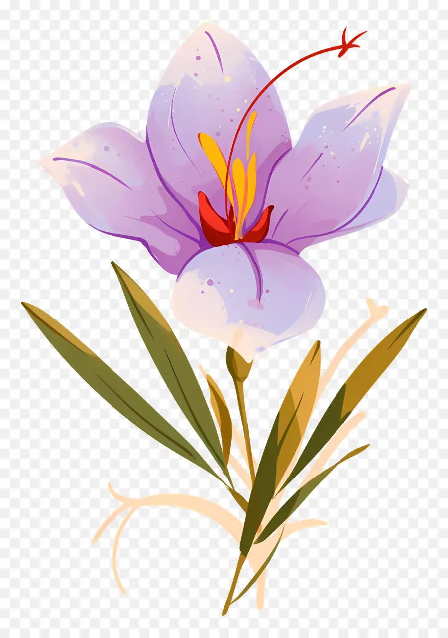 Fleur De Safran，Fleur Violette PNG