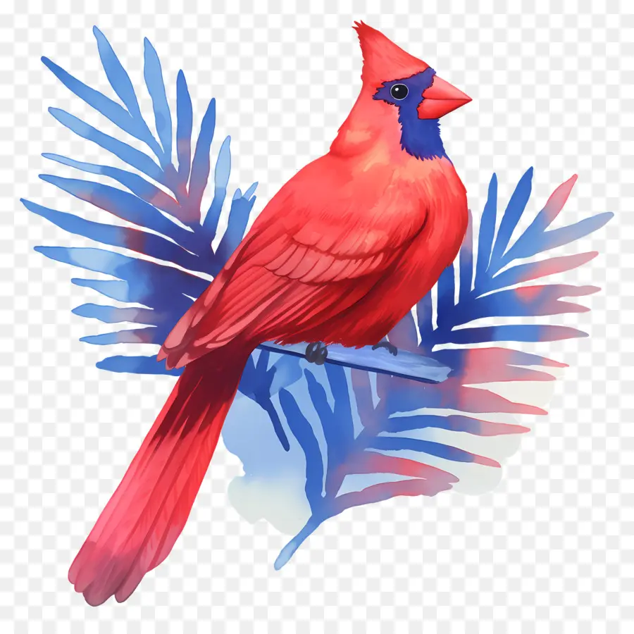 Oiseau D'hiver，Cardinal Rouge PNG