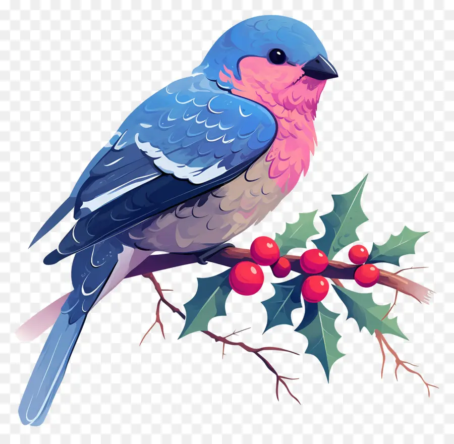 Oiseau D'hiver，Oiseau Bleu PNG