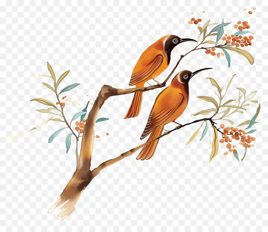 Arbre Avec Des Oiseaux，Oiseaux Sur Branche PNG