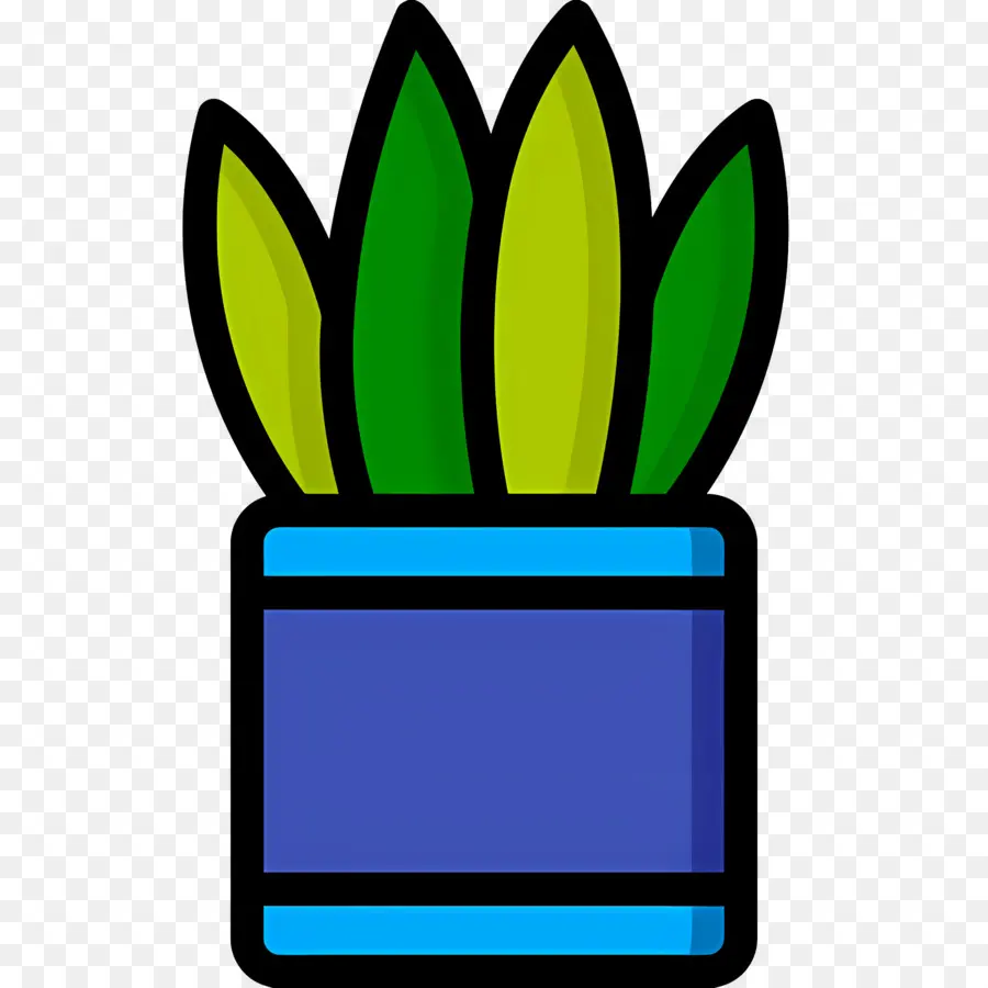 Aloe Vera，Usine PNG