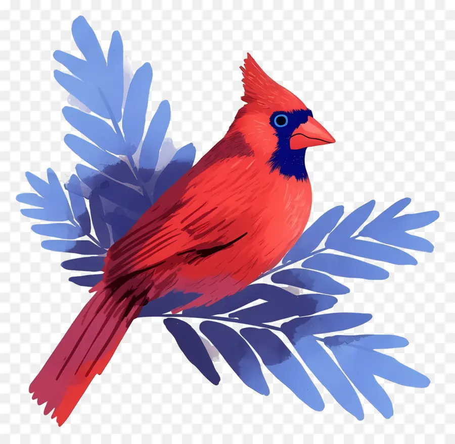 Oiseau D'hiver，Cardinal Rouge PNG