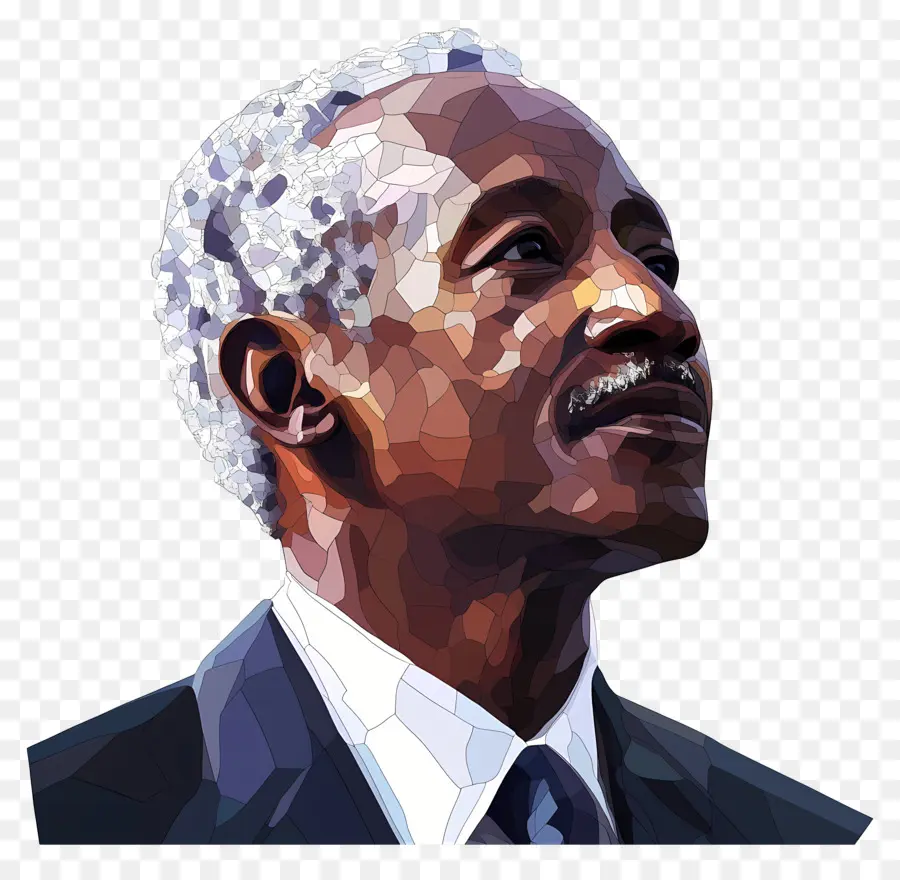 Julius Nyerere，Art Polygonal D’homme âgé PNG