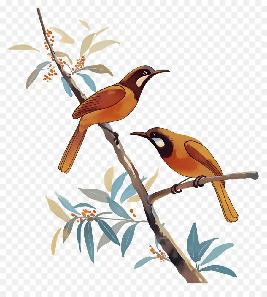 Arbre Avec Des Oiseaux，Oiseaux Sur Branche PNG