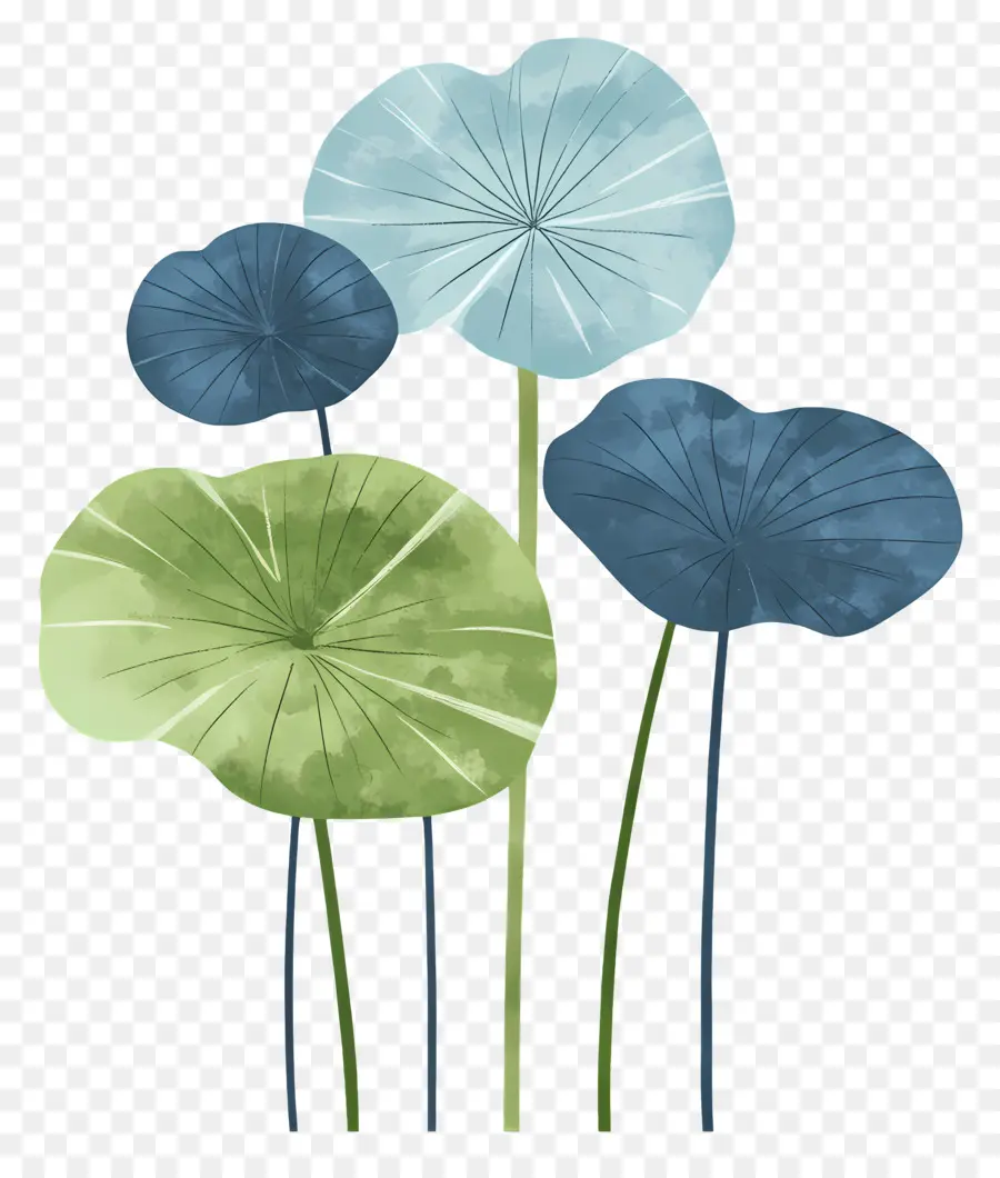 Feuilles De Lotus，Feuilles Colorées PNG