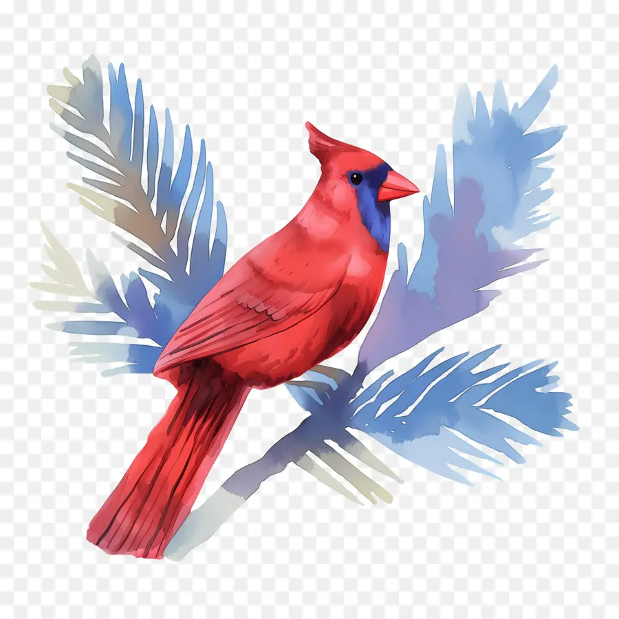 Oiseau D'hiver，Cardinal Rouge PNG