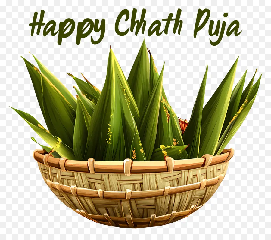 Joyeux Chhath Puja，Panier Avec Des Feuilles PNG