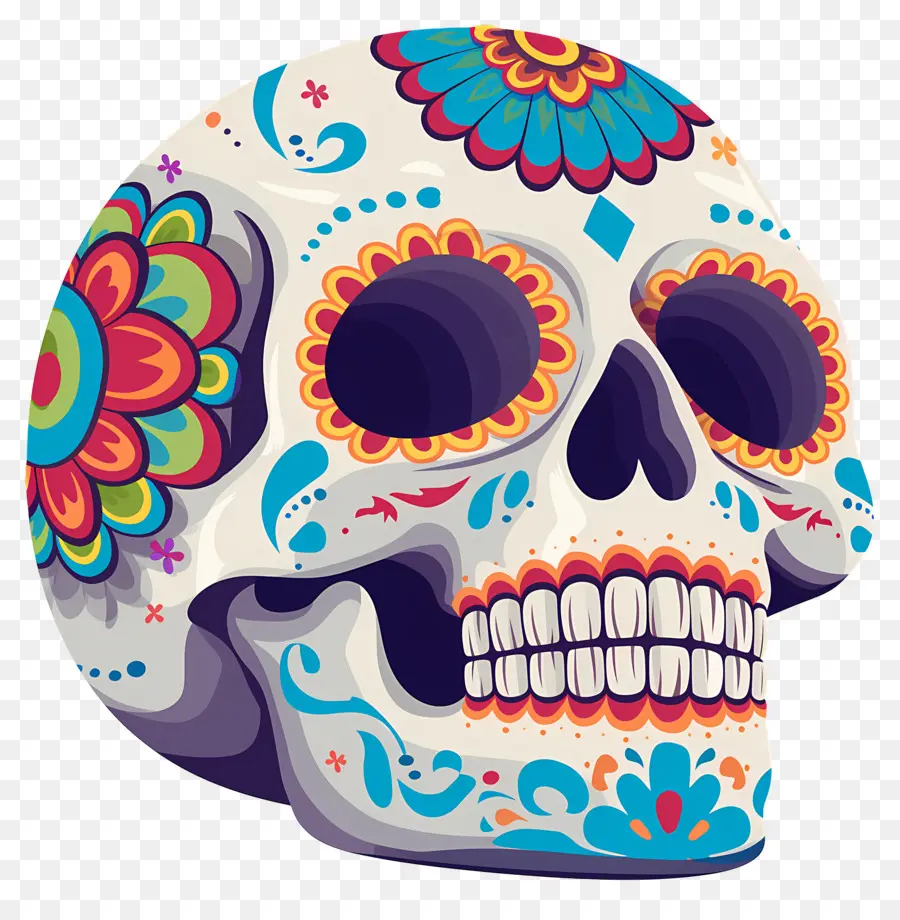 Crâne Mexicain，Crâne Décoratif PNG