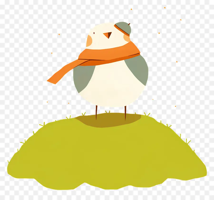 Oiseau De Dessin Animé，Oiseau Avec Foulard PNG