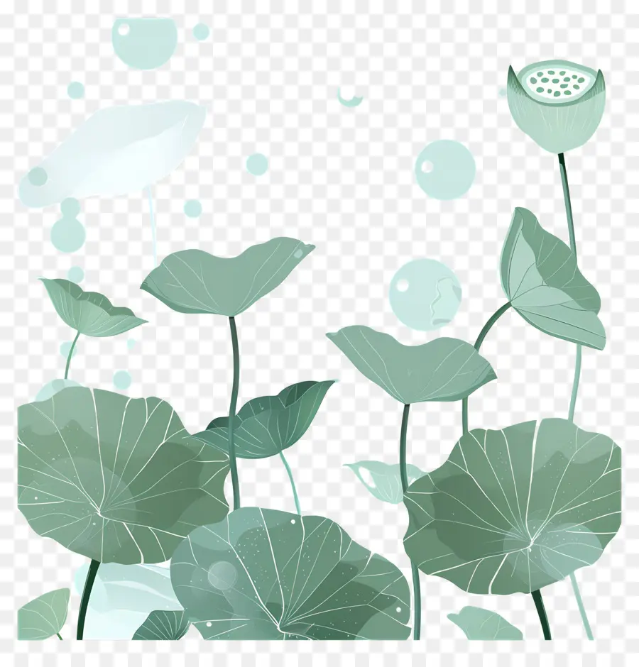 Feuilles De Lotus，Feuilles Et Fleurs De Lotus PNG