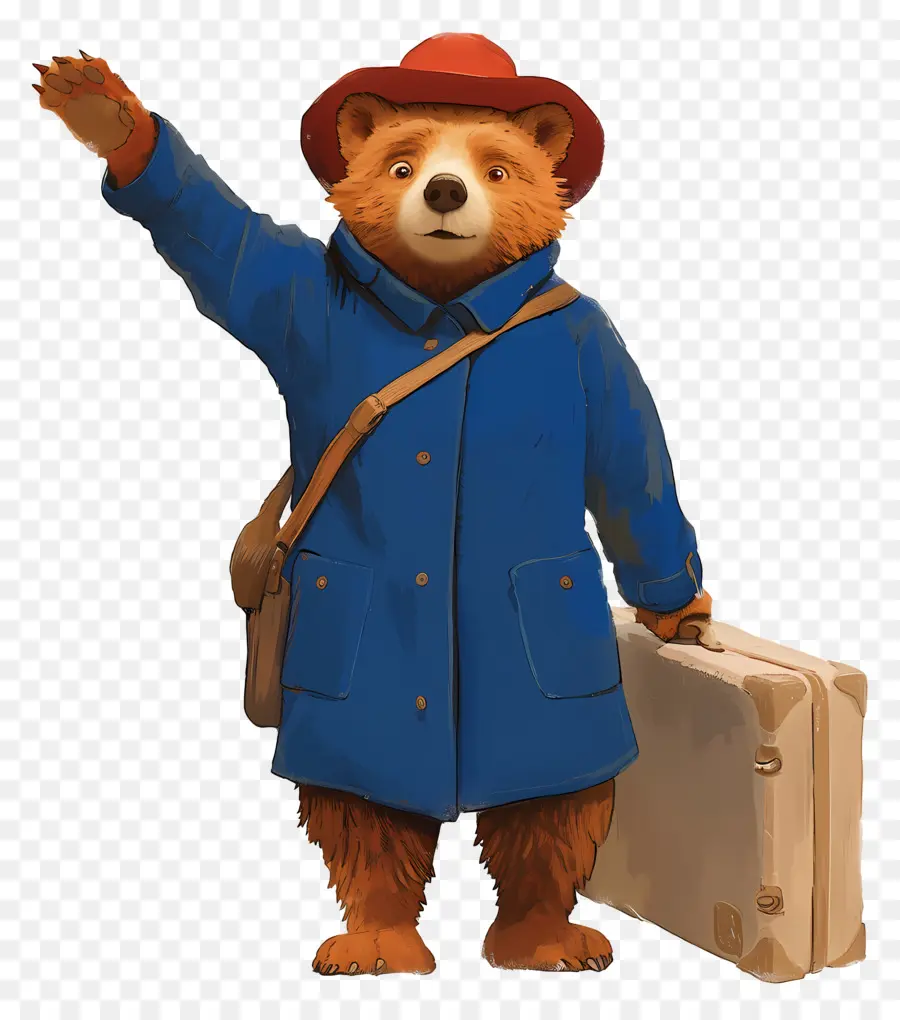 Paddington，Ours De Dessin Animé PNG