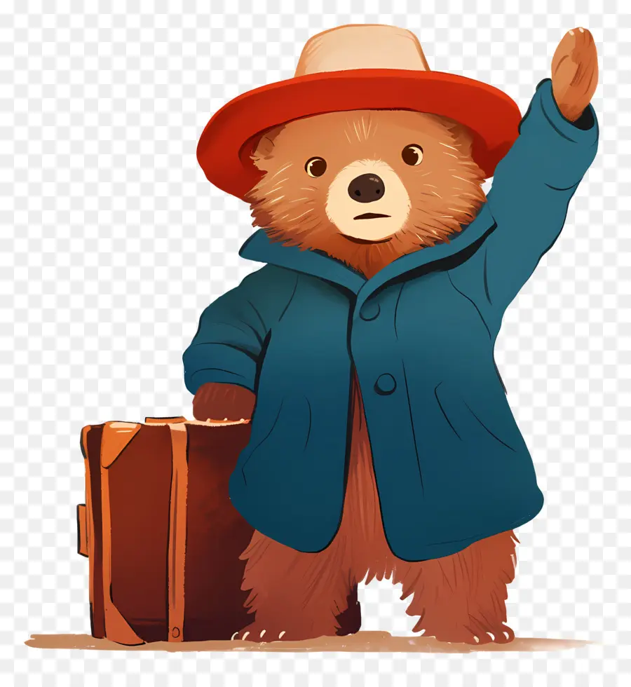 Paddington，Ours De Dessin Animé PNG