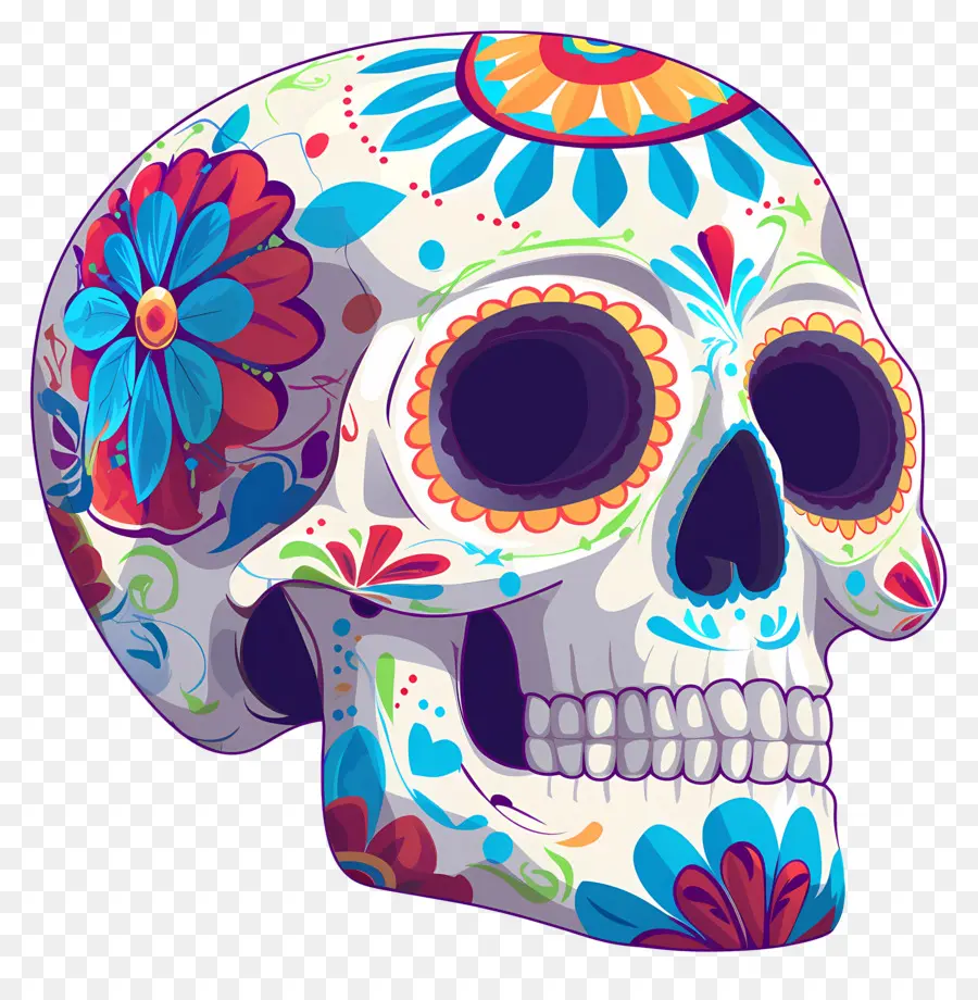 Crâne Mexicain，Crâne Décoratif PNG