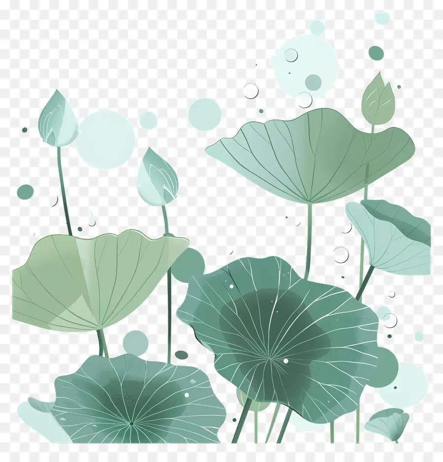 Feuilles De Lotus，Feuilles Et Fleurs De Lotus PNG