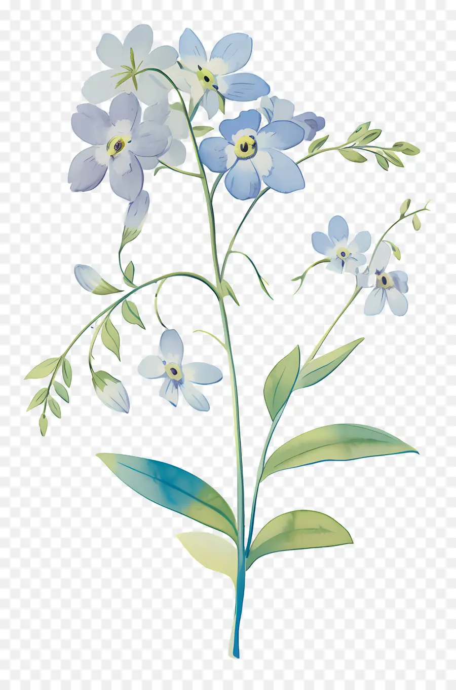 Ne M'oublie Pas La Fleur，Fleurs Bleues PNG