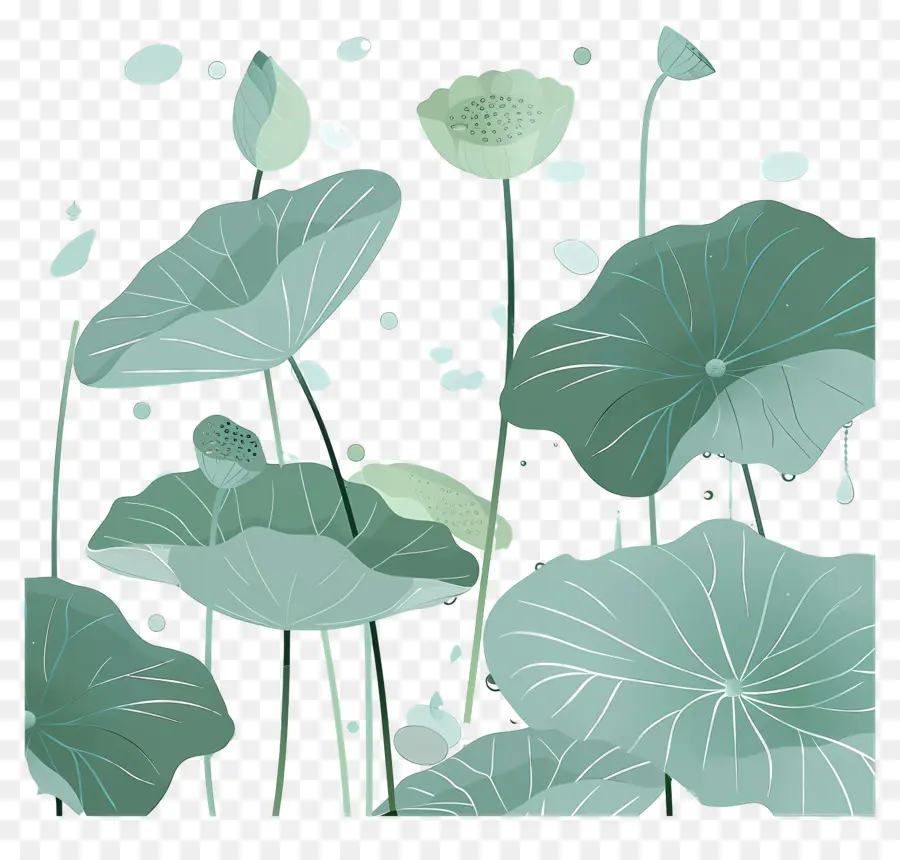 Feuilles De Lotus，Feuilles Et Fleurs De Lotus PNG