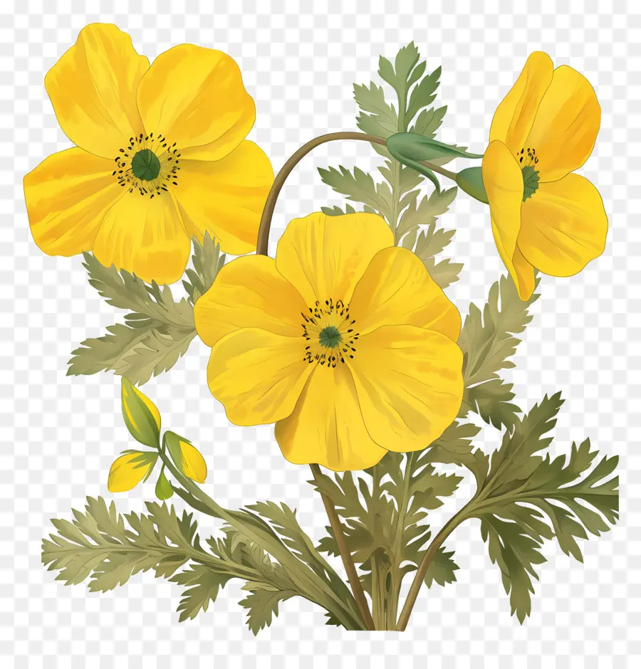 Fleur De Primevère，Fleurs Jaunes PNG