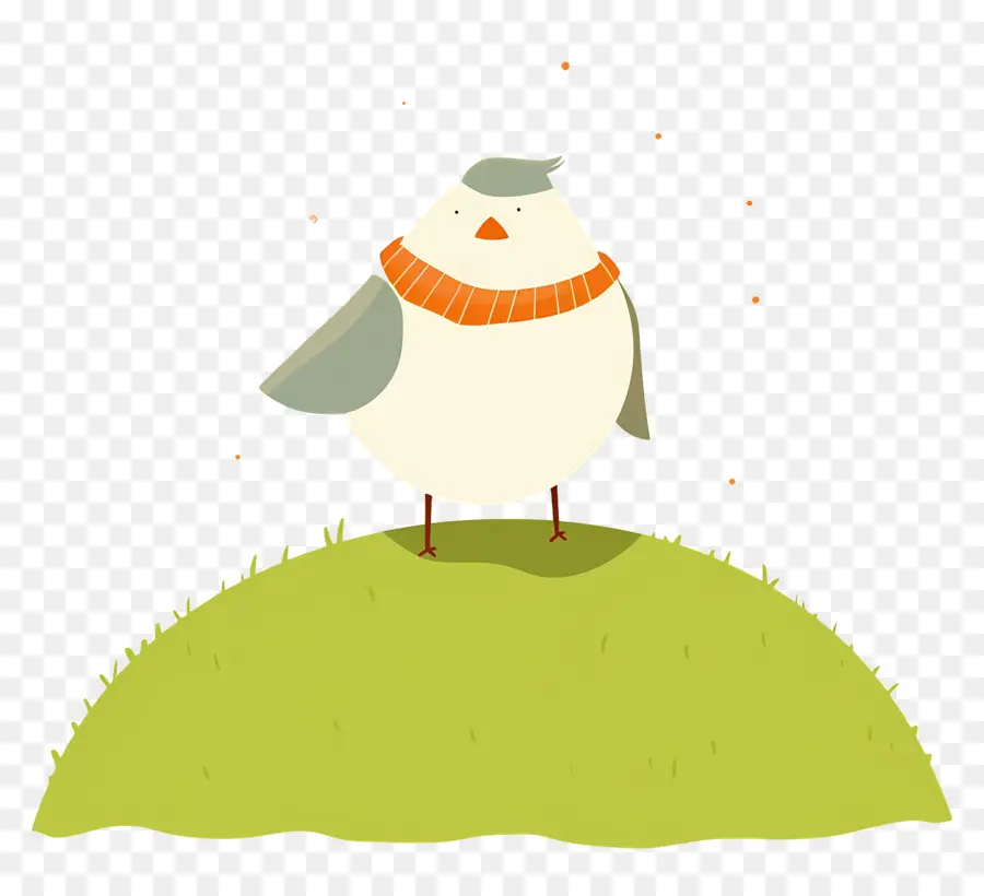 Oiseau De Dessin Animé，Oiseau Avec Foulard PNG