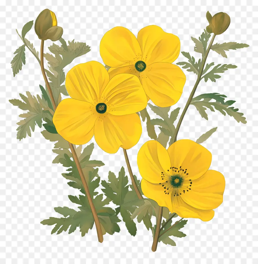 Fleur De Primevère，Fleurs Jaunes PNG