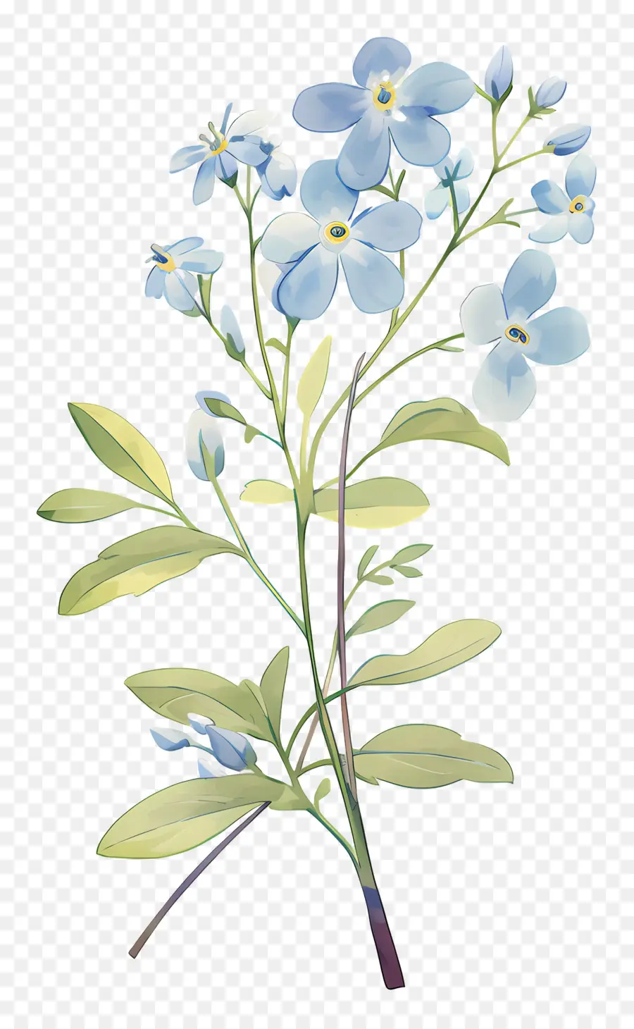 Ne M'oublie Pas La Fleur，Fleur Bleue PNG