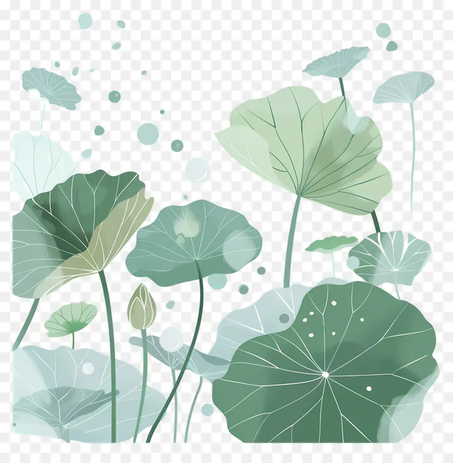 Feuilles De Lotus，Feuilles Et Fleurs De Lotus PNG