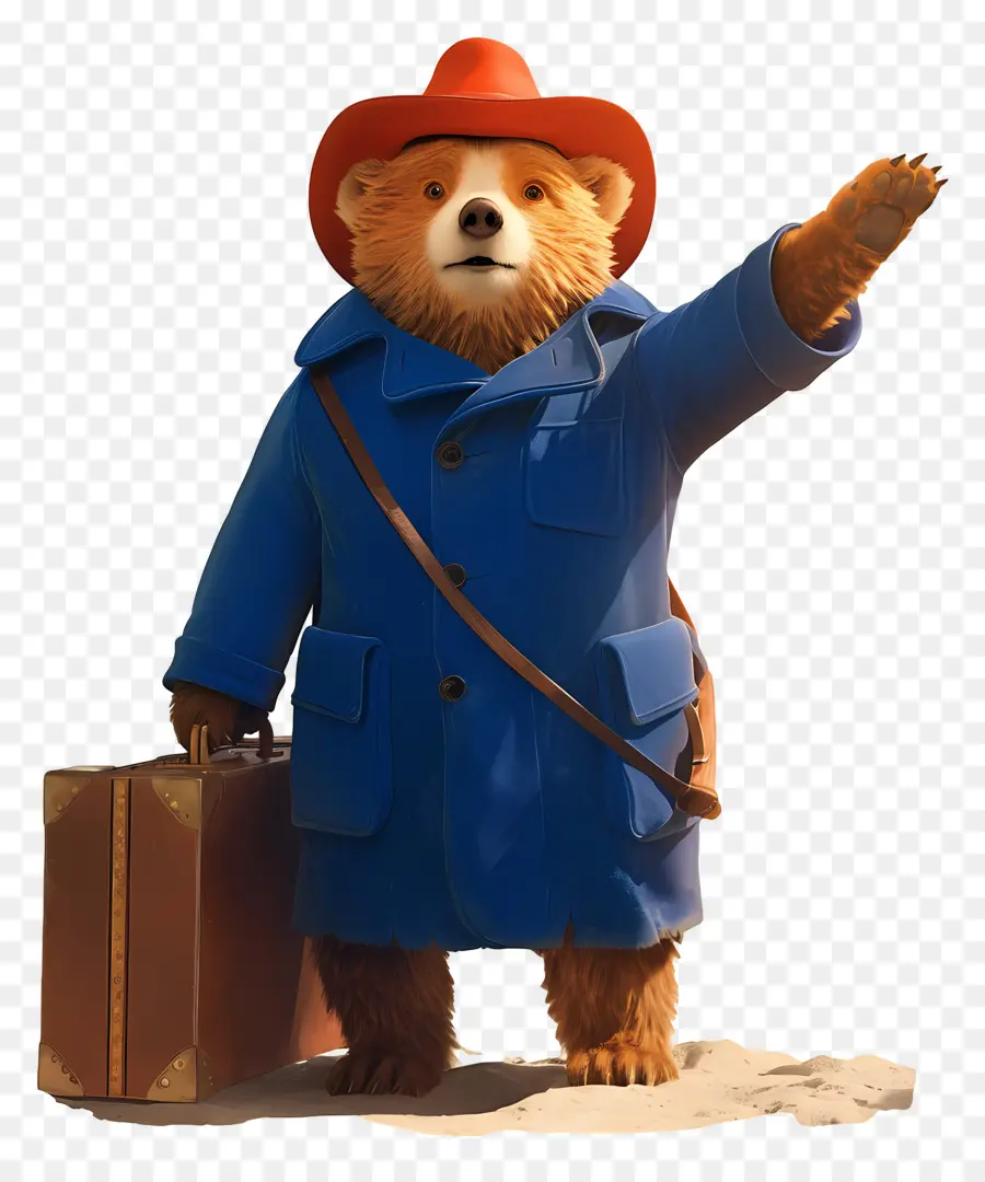 Paddington，Ours De Dessin Animé PNG