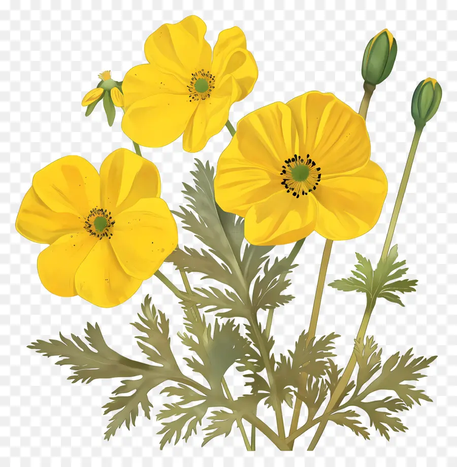 Fleur De Primevère，Fleurs Jaunes PNG