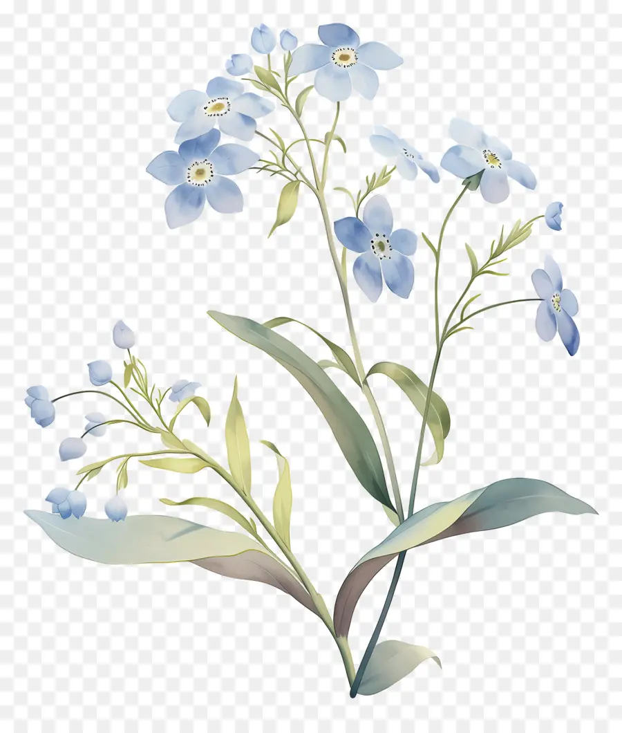 Ne M'oublie Pas La Fleur，Fleurs Bleues PNG