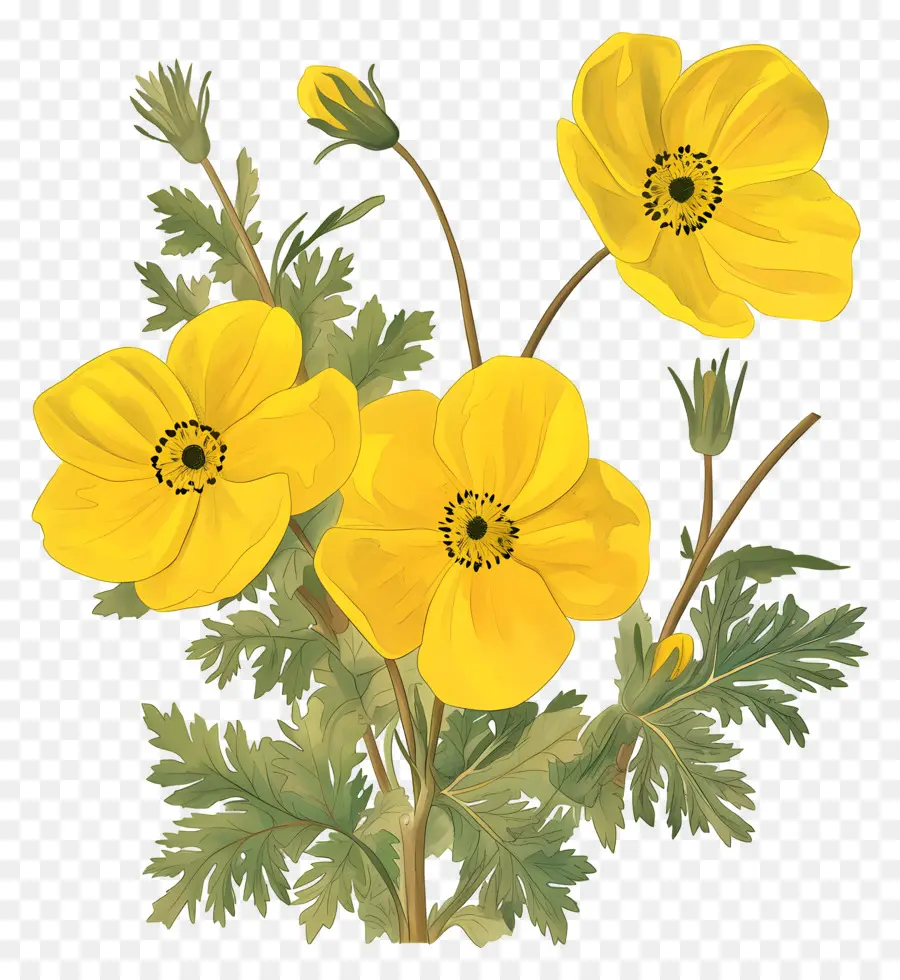 Fleur De Primevère，Fleurs Jaunes PNG