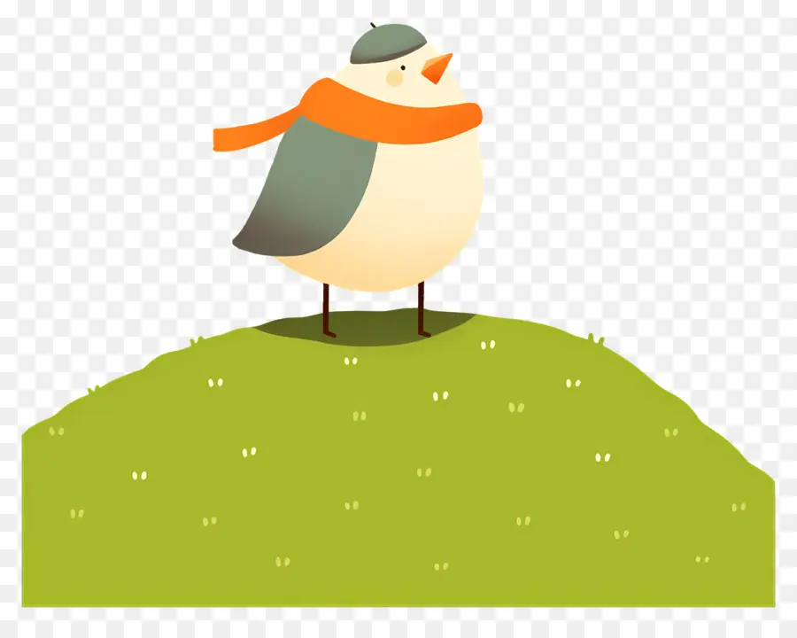 Oiseau De Dessin Animé，Oiseau Avec écharpe PNG