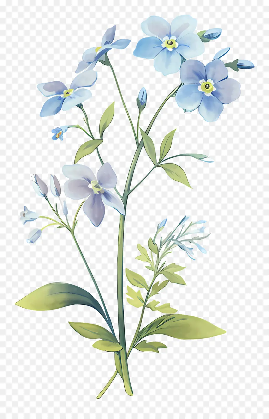 Ne M'oublie Pas La Fleur，Fleur Bleue PNG