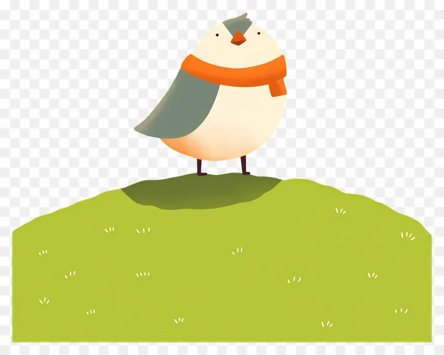 Oiseau De Dessin Animé，Oiseau Avec écharpe PNG