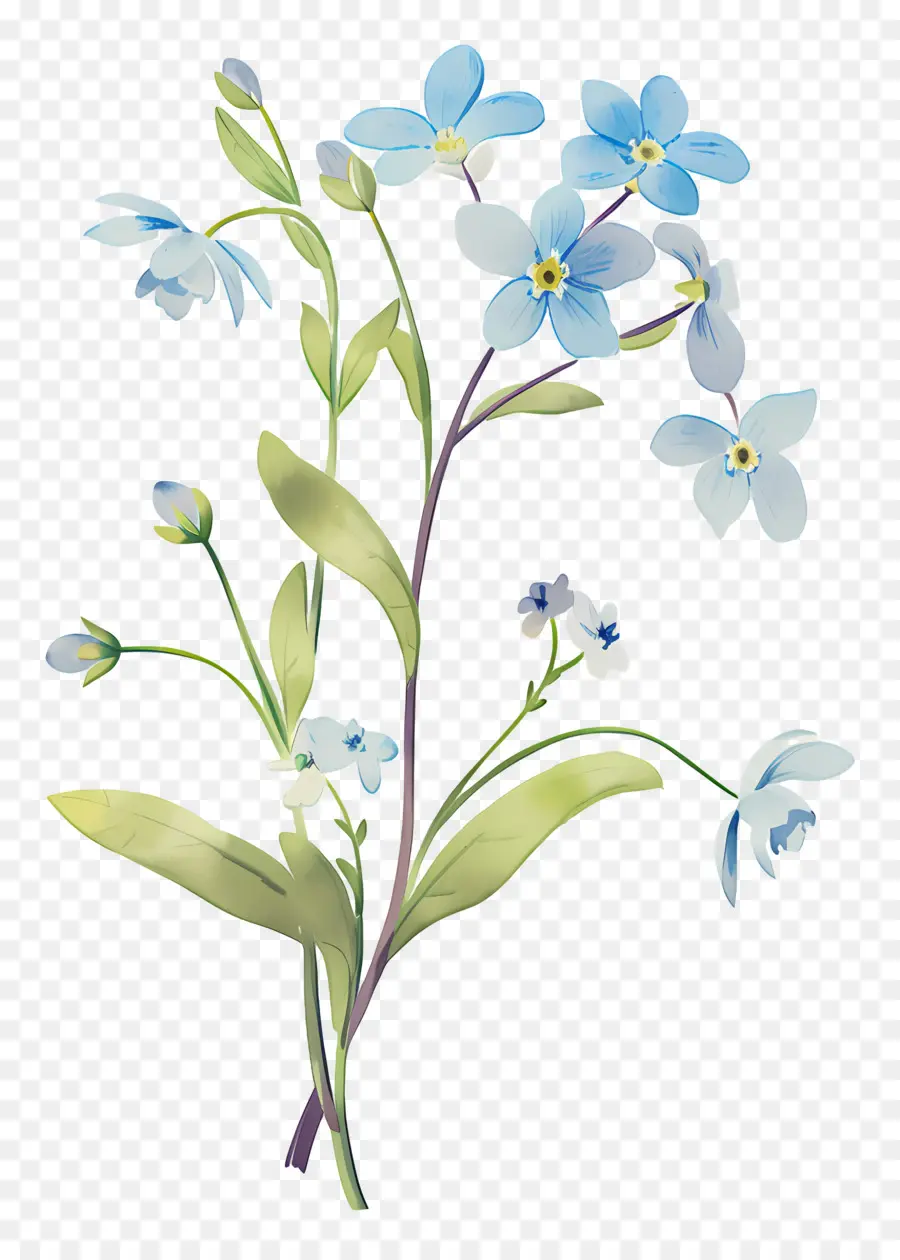 Ne M'oublie Pas La Fleur，Fleurs Bleues PNG