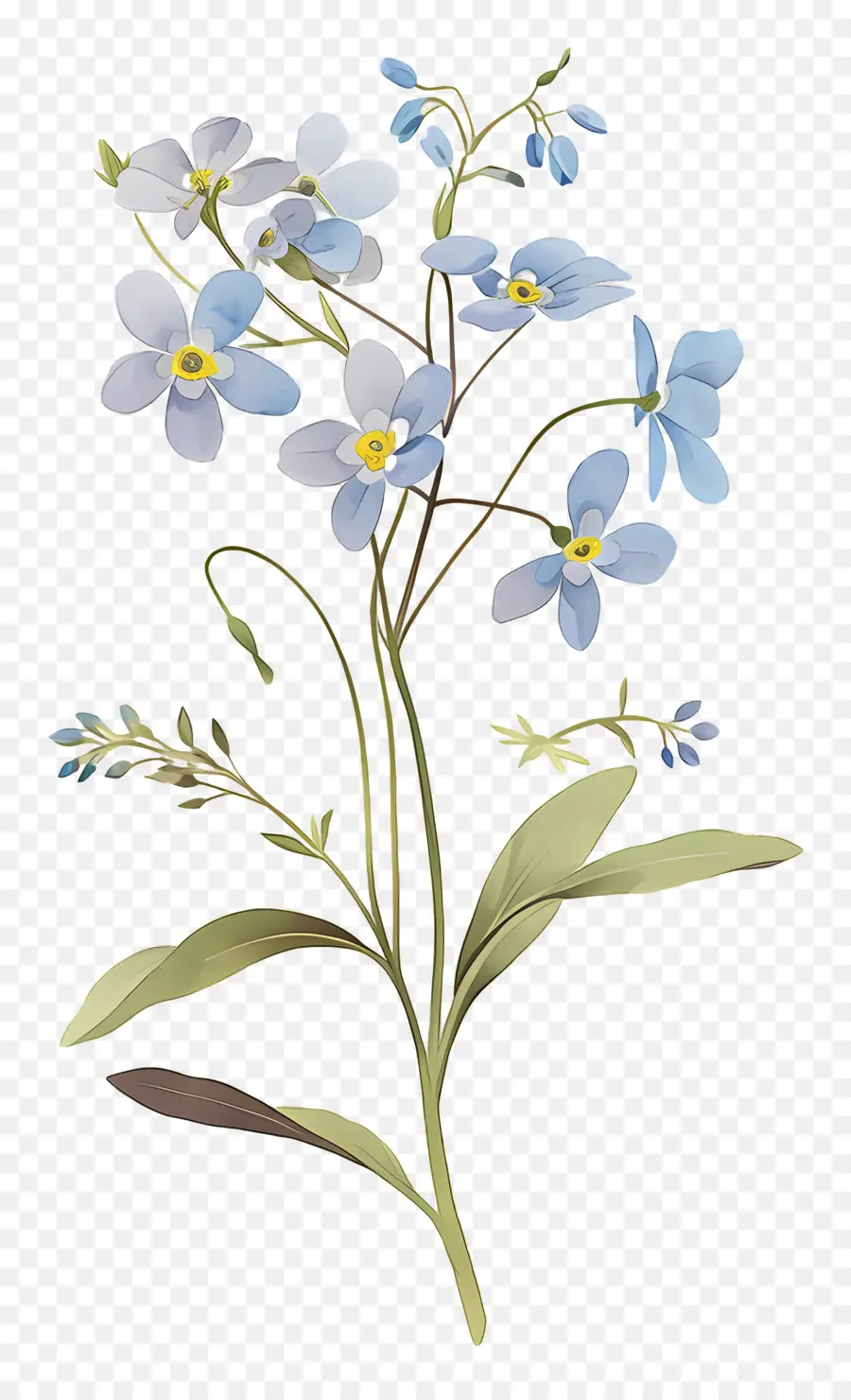 Ne M'oublie Pas La Fleur，Fleurs Bleues PNG