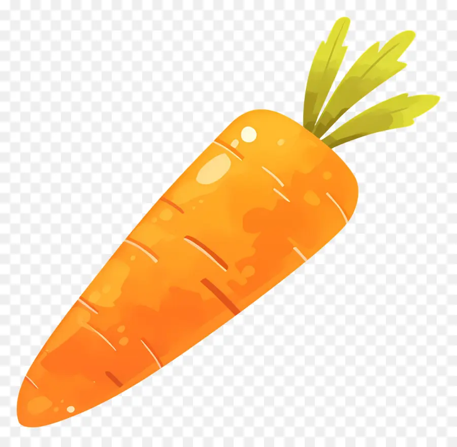 Carotte Fraîche，Carotte Orange PNG