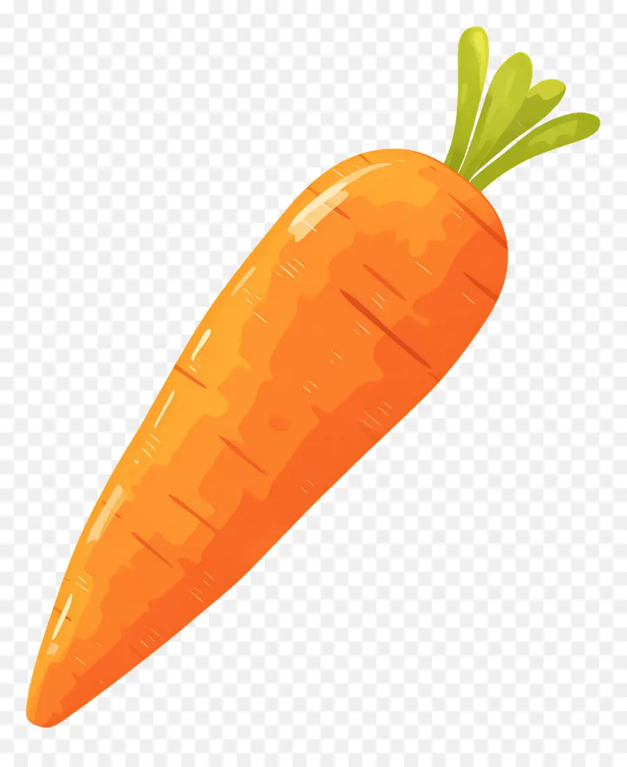 Carotte Fraîche，Carotte Orange PNG