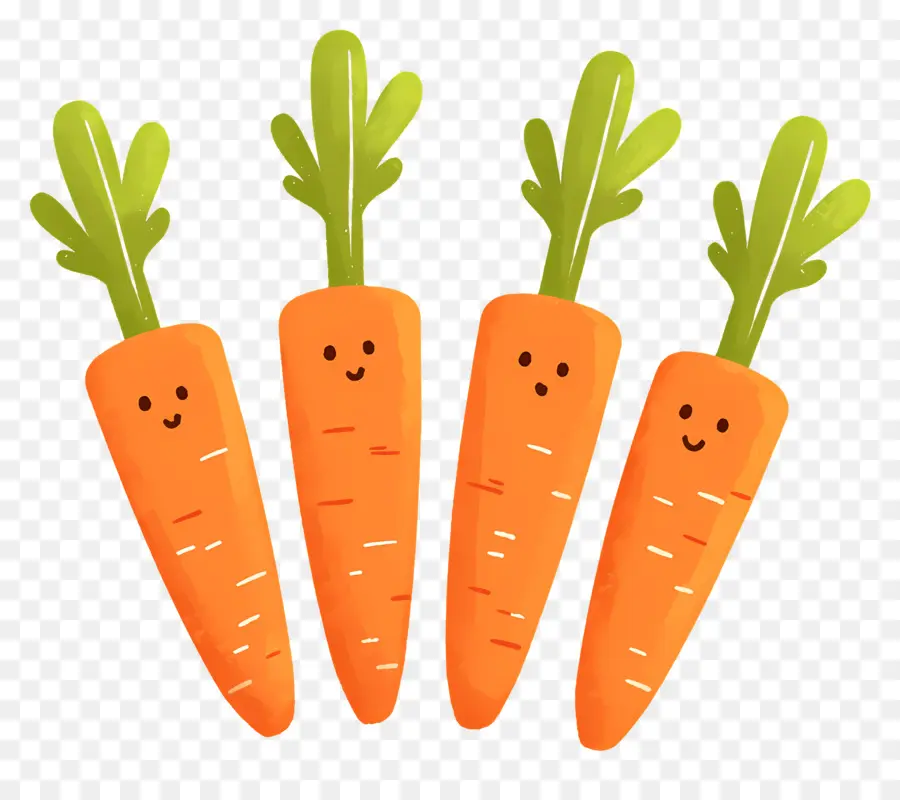 Carottes，Carottes Mignonnes PNG