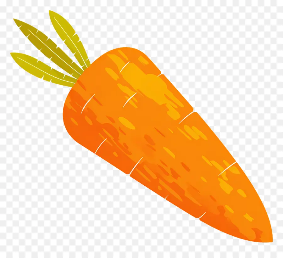 Carotte Fraîche，Carotte Orange PNG