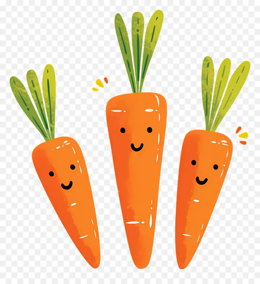 Carottes，Orange PNG