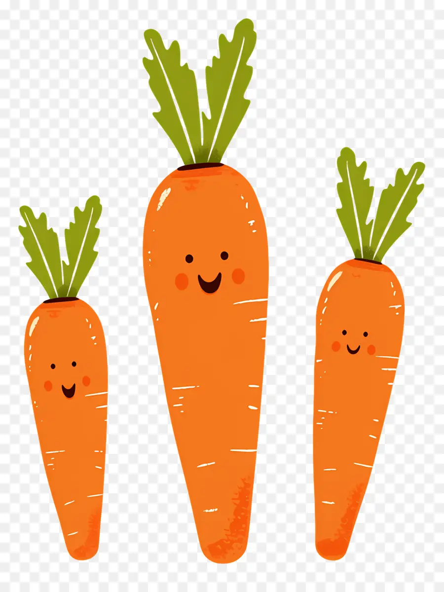 Carottes，Carottes Mignonnes PNG