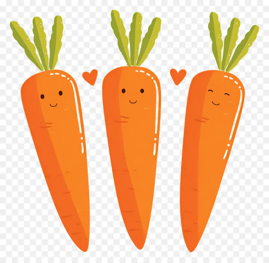 Carottes，Carottes Mignonnes PNG