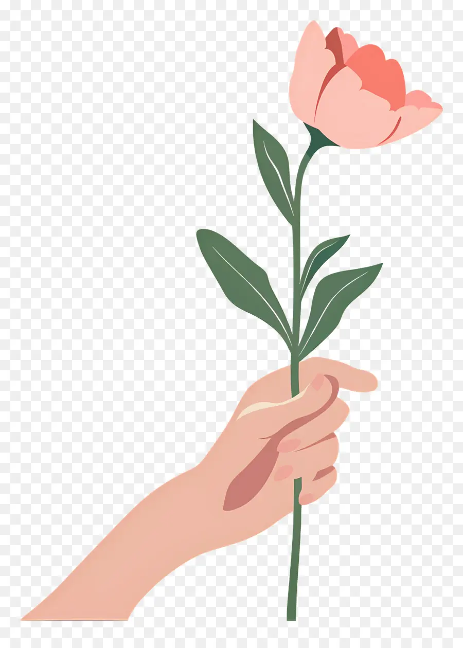 Journée Mondiale De La Gentillesse，Main Tenant Une Tulipe Rose PNG