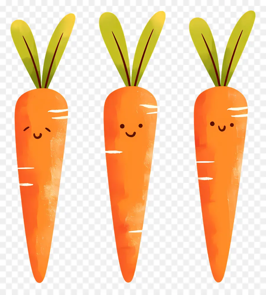 Carottes，Orange PNG