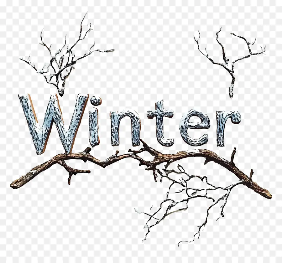 Hiver，Branches D'hiver PNG