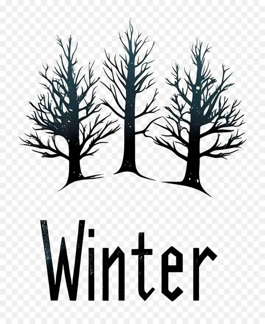 Mot Hiver，Arbres D'hiver PNG