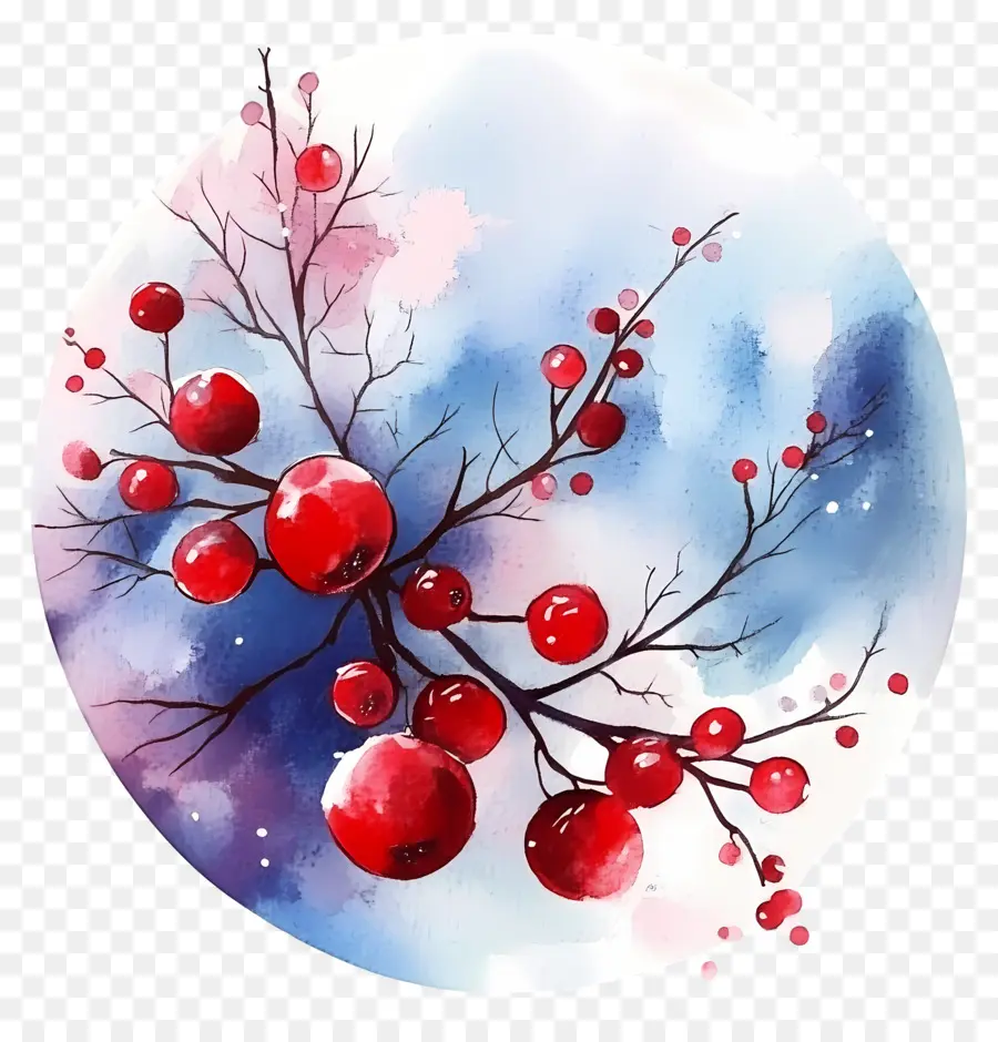 Aquarelle De Noël，Fruits Rouges PNG