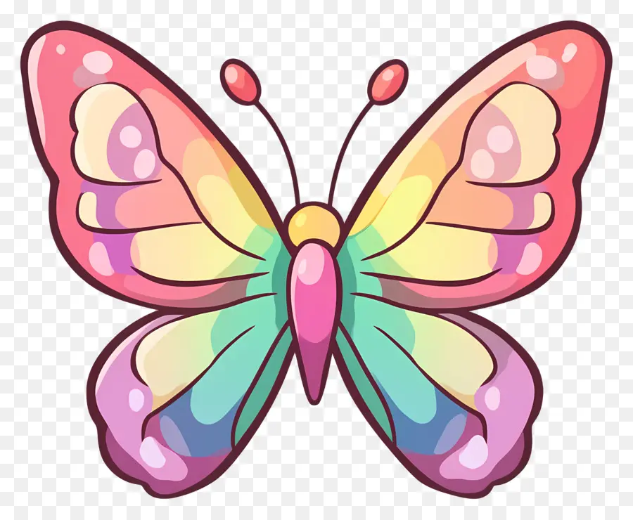 Papillon Animé，Papillon Coloré PNG