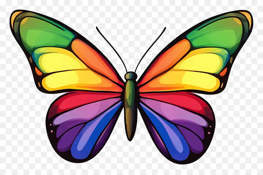 Papillon Arc En Ciel，Papillon Coloré PNG