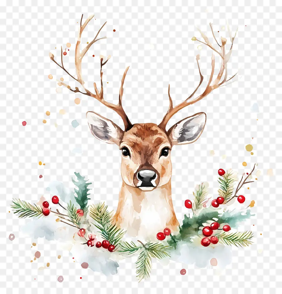 Aquarelle De Noël，Cerf Réaliste PNG