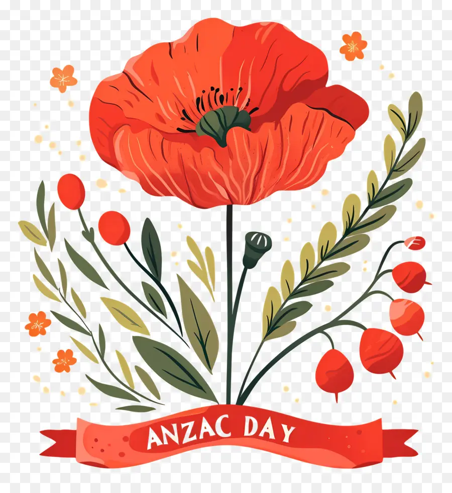 Journée Anzac，Coquelicots De La Journée Anzac PNG